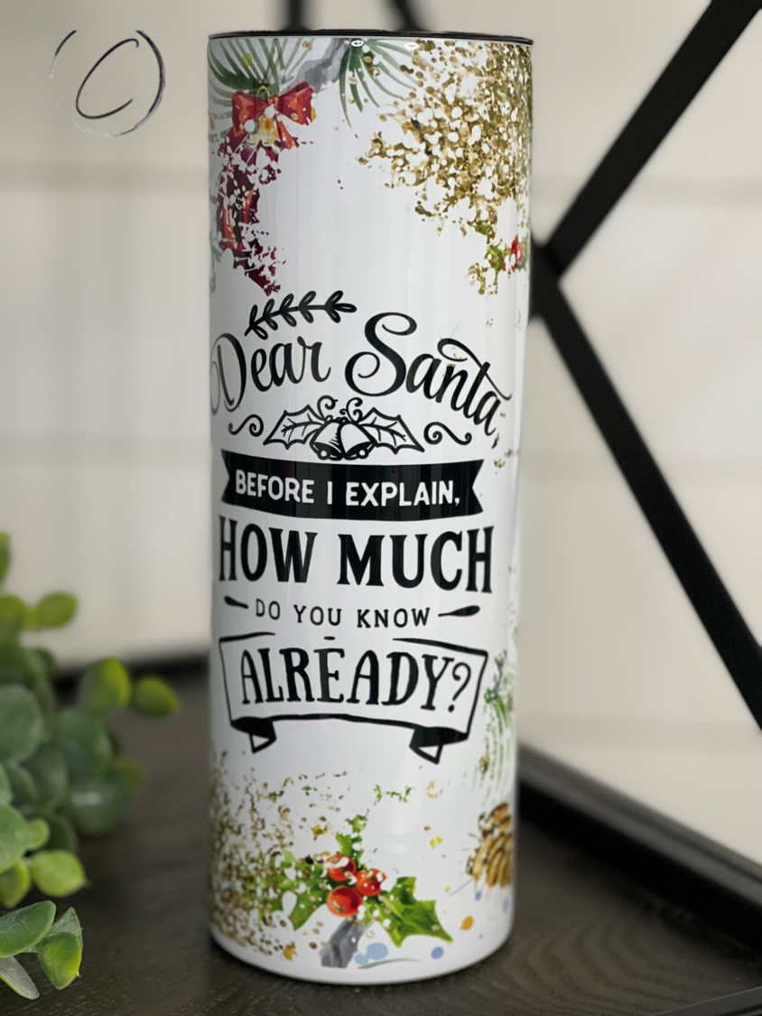 Dear Santa 20oz Skinny Tumbler